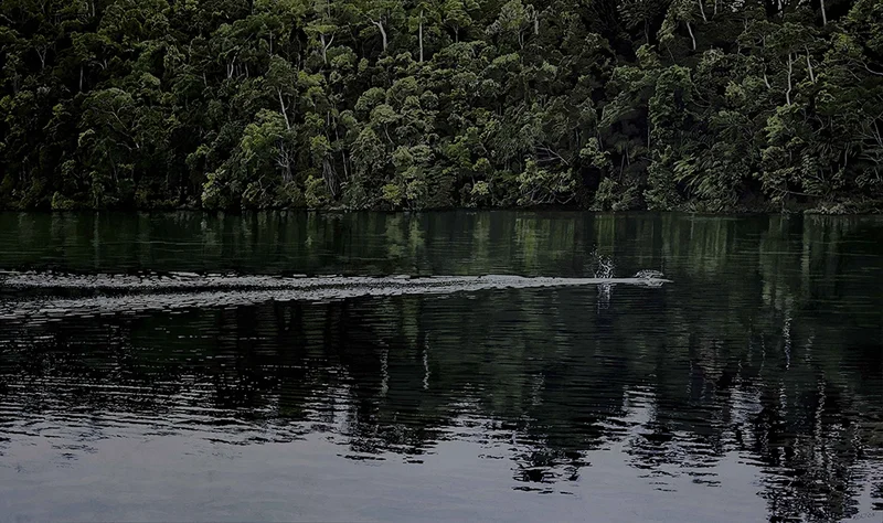 People's Choice Award