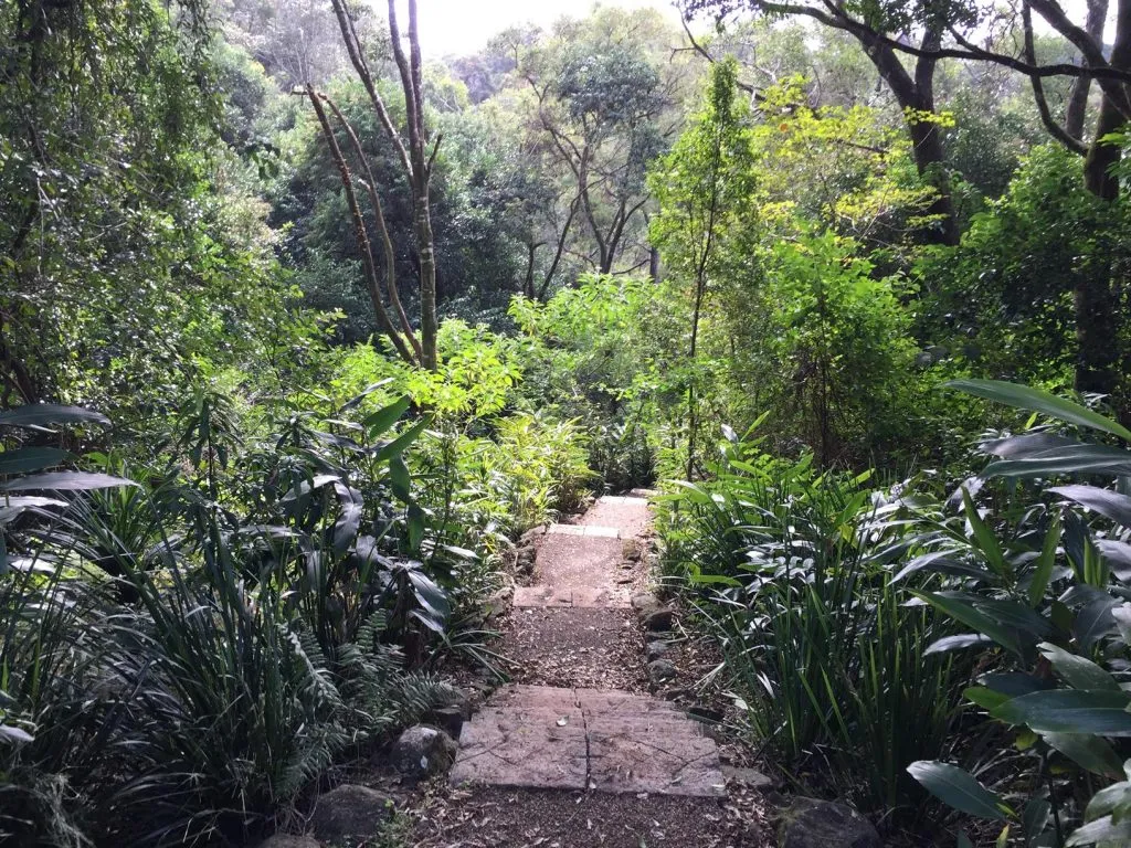 Maleny-Trail-5-1-1024x768.jpg