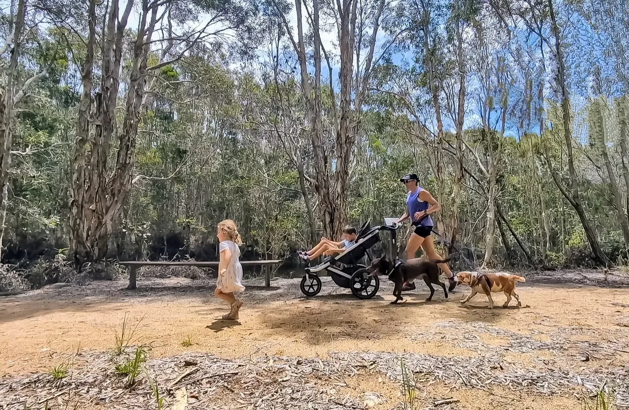 Lamerough Creekside Walk, Pelican Waters