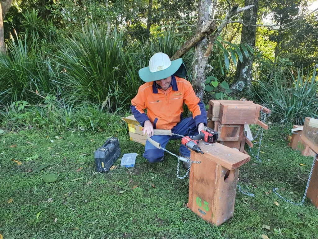 Building the Biodiverse nest box.
