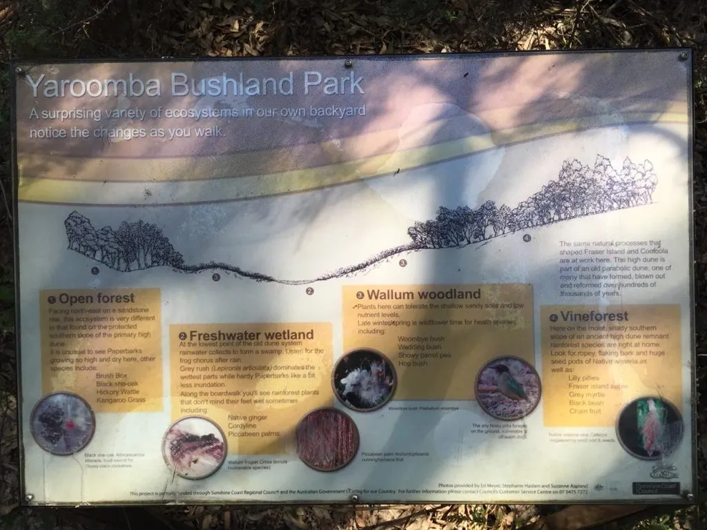 10013_Yaroomba-bushland-park-IMG_2002-1024x768.jpg