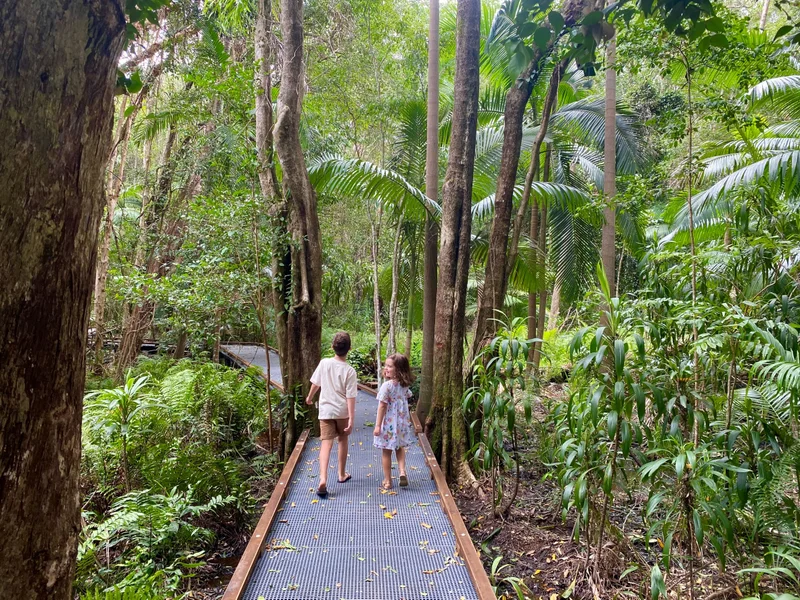 Children-explore-Yaroomba-Bushland-Park-boardwalk-2-SC.jpg