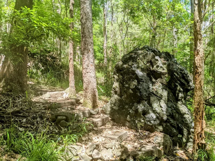 Adventure: EJ Foote Sanctuary - trails (Buderim)