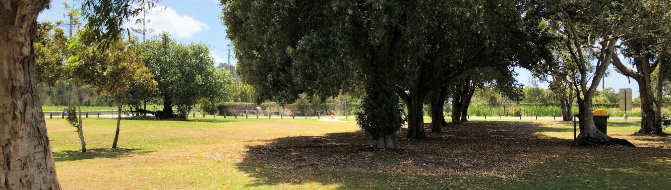 FF76F767-59AE-4118-AA9B-F27BBBDB4D21