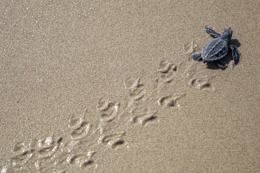 9E107999-08E4-4766-B2CF-ED1036FA195B