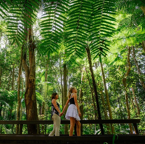 Walking the paths through the Maroochy Regional Bushland Botanic Gardens