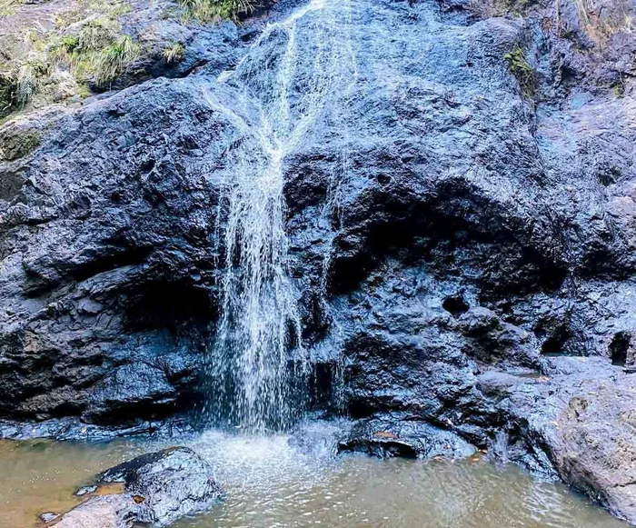 Adventure: Mapleton National Park, Gheerulla Full Loop (24km)