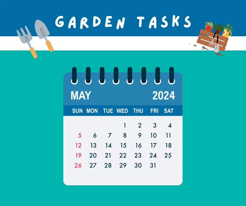 Garden tasks for May