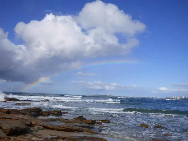 Pincushion Island Beach Walk