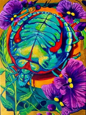 Leaf to Wing - the Maleny Understory