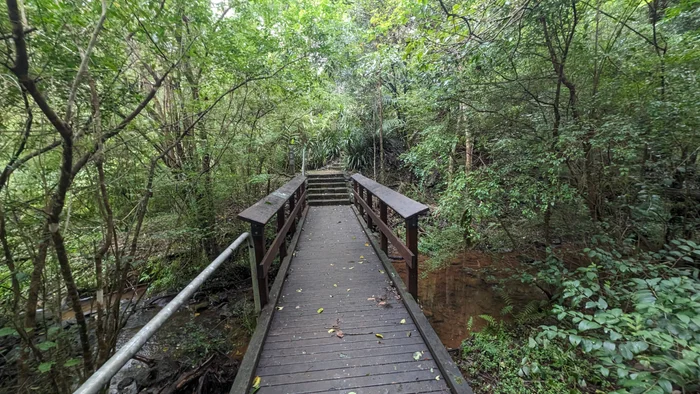 Adventure: Maleny Trail to Reynolds Crossing (3.6km one-way)
