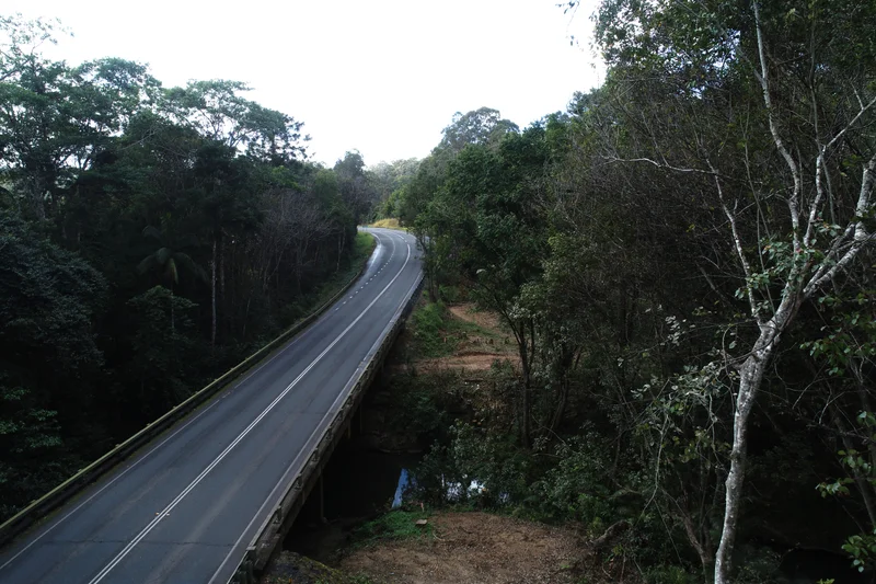 Seib Road, Eumundi