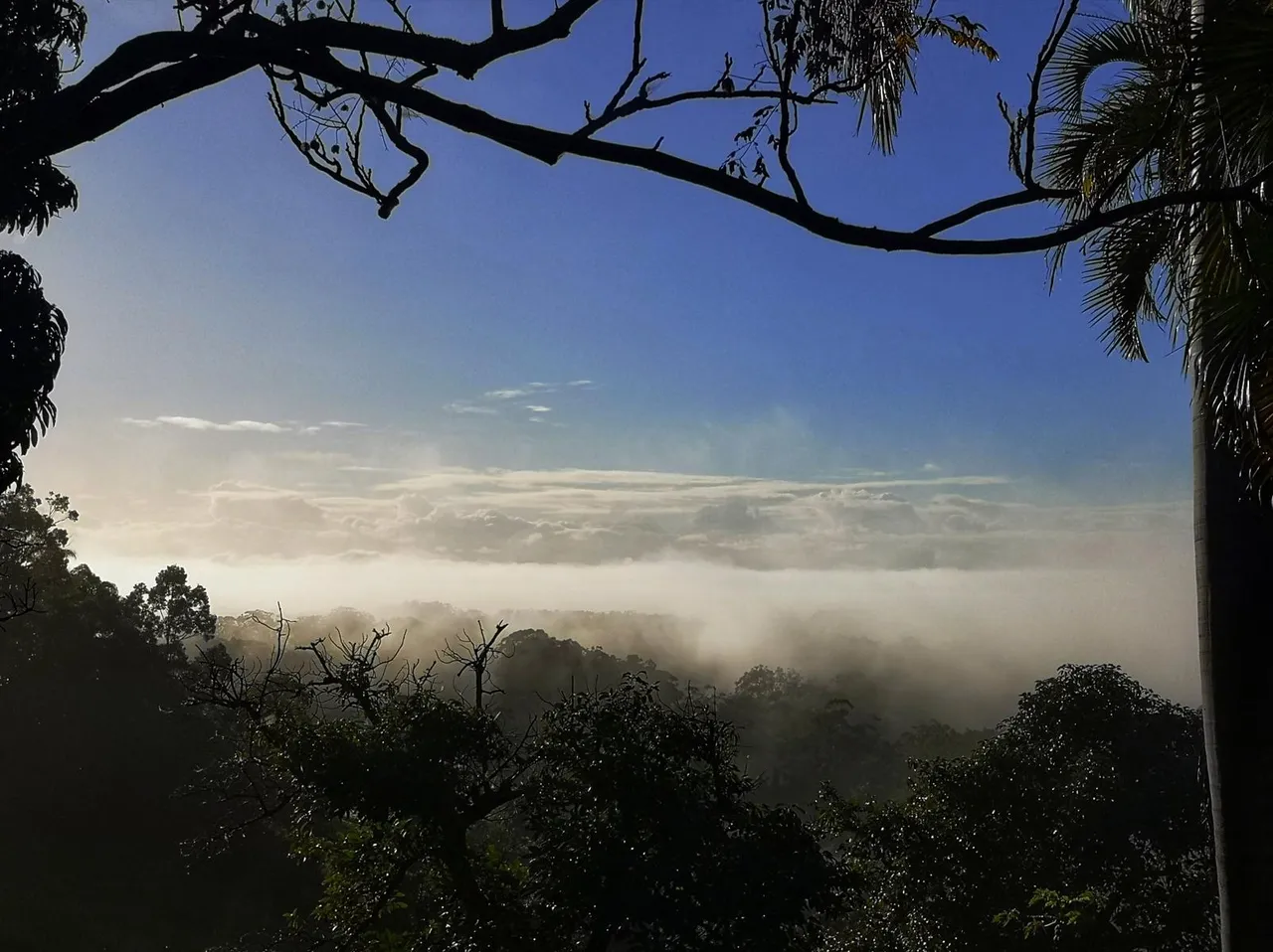 Woombye to Palmwoods trail