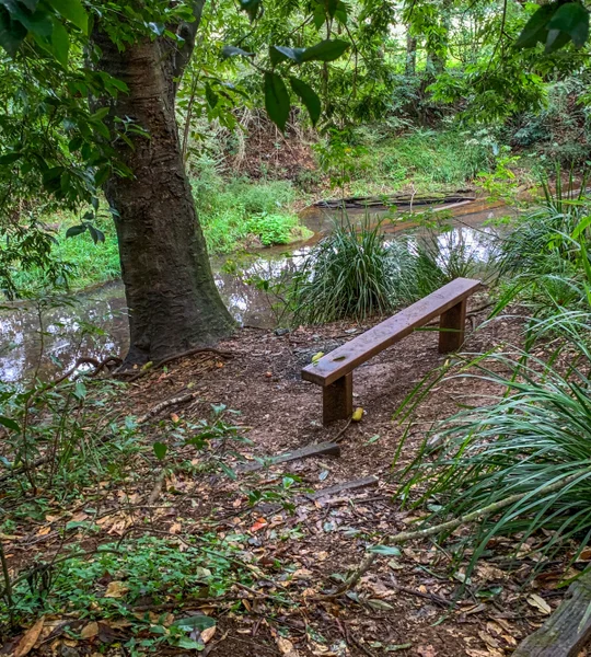 Maleny Boardwalk – Platypus Walk