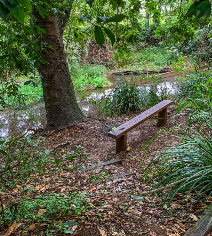 Maleny Boardwalk – Platypus Walk