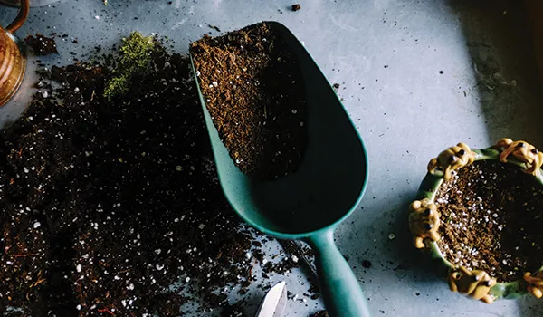 Small spade and soil poised to start potting