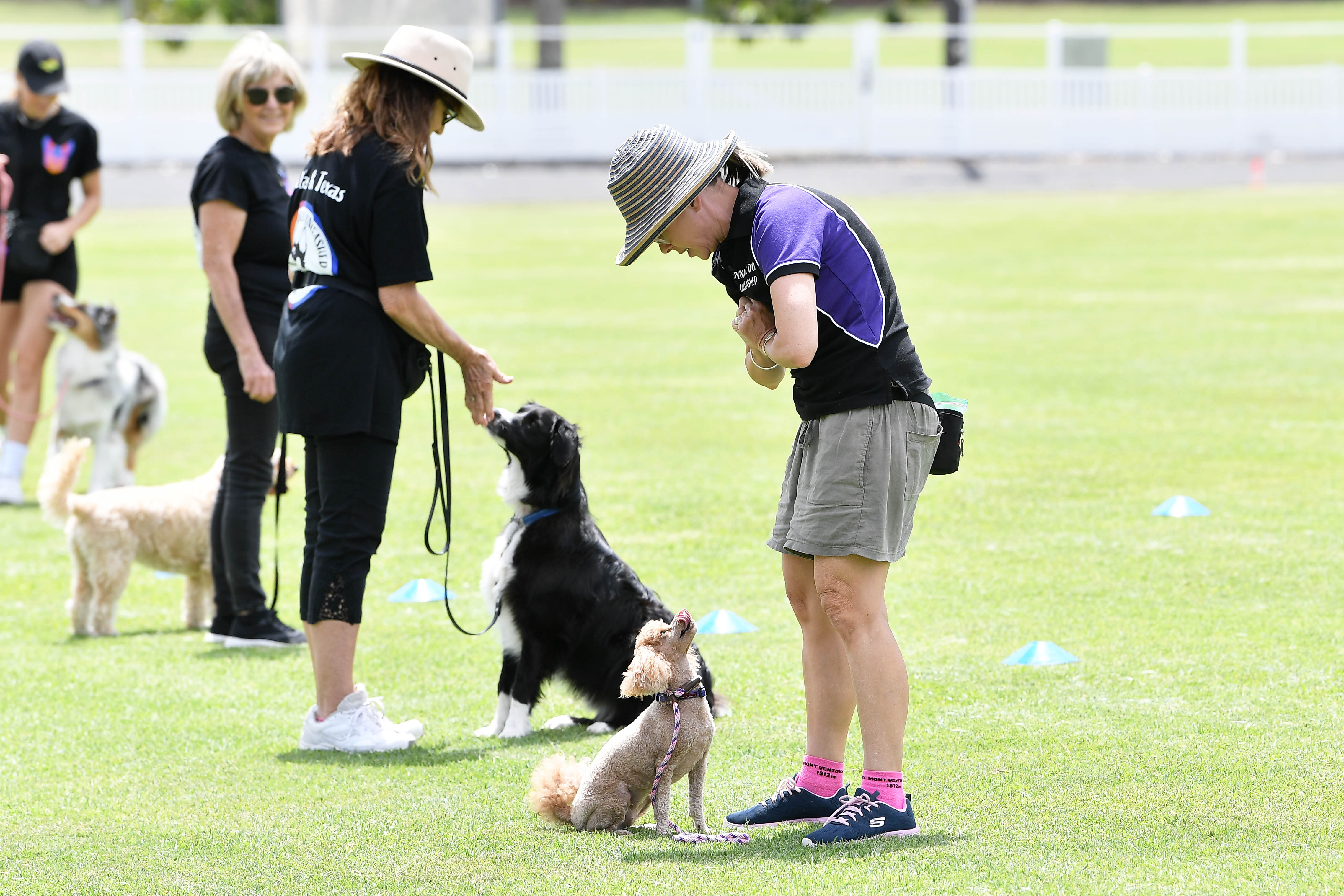 Teaching old dogs new tricks