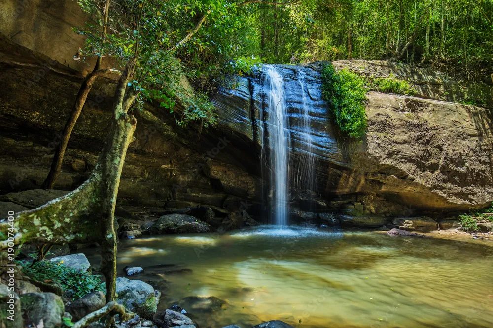 Buderim falls water fall