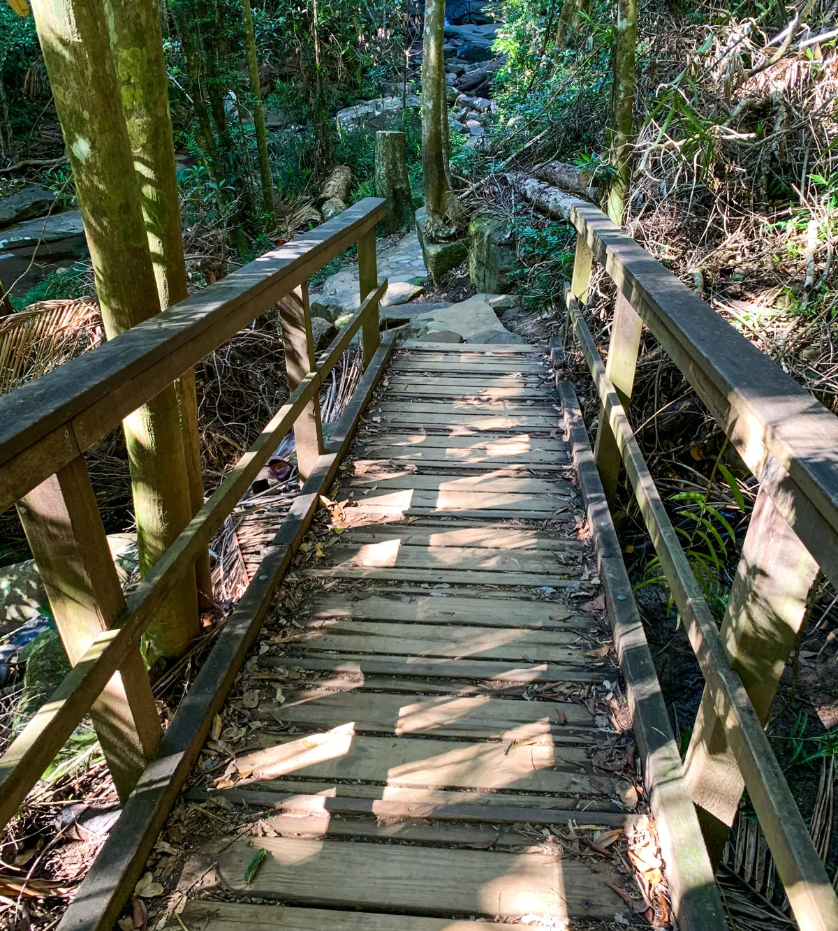 Buderim Forest Park - Falls Loop