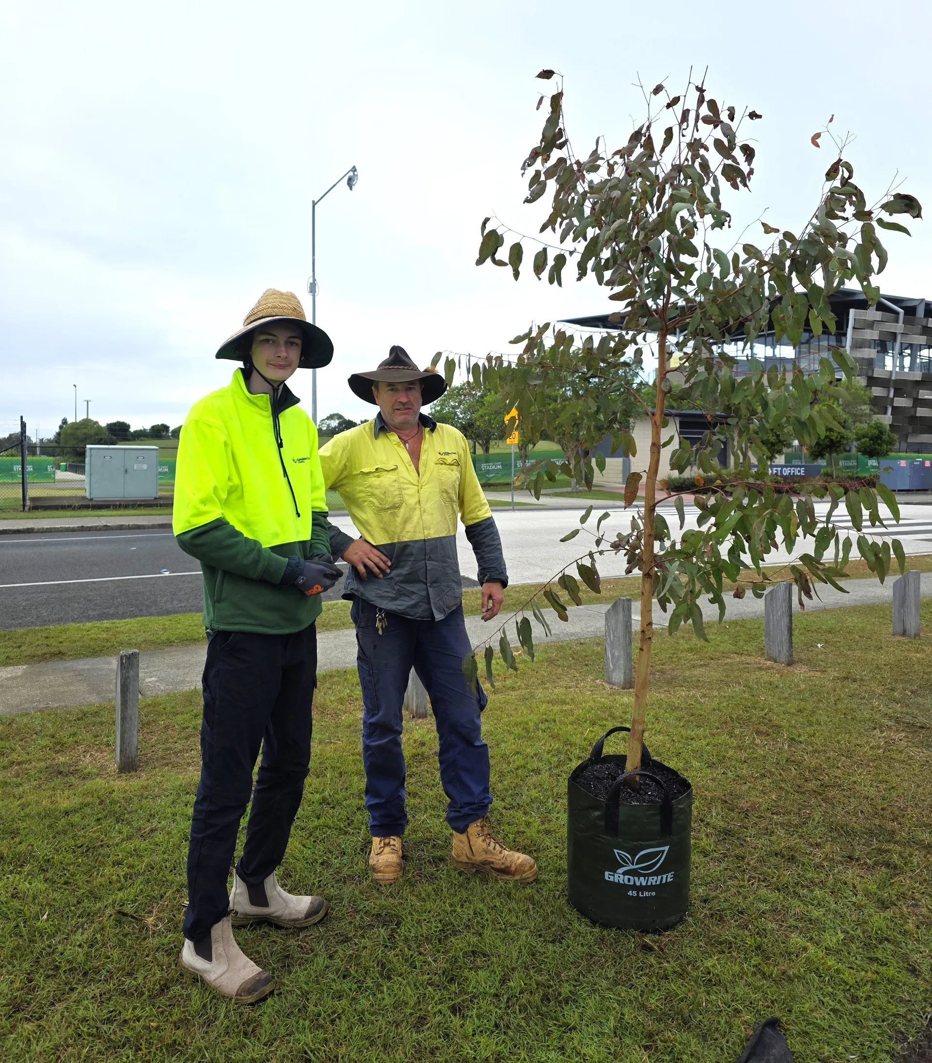 Tree planting event tree for the Mayor to plant.