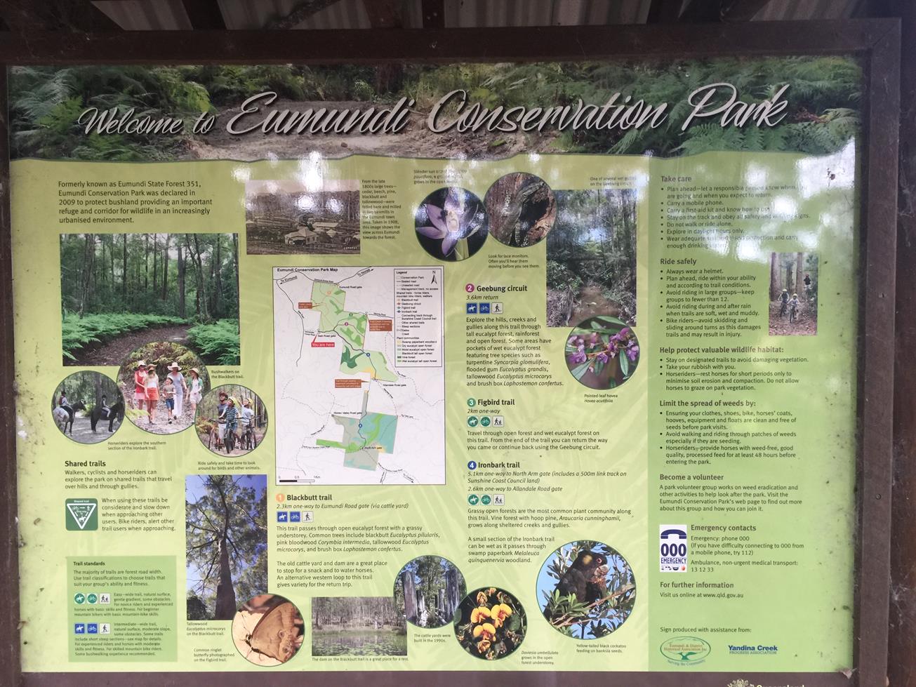 19620_Eumundi%20Conservation%20Park%20Seib%20Road%20Loop%20IMG_2212.jpg