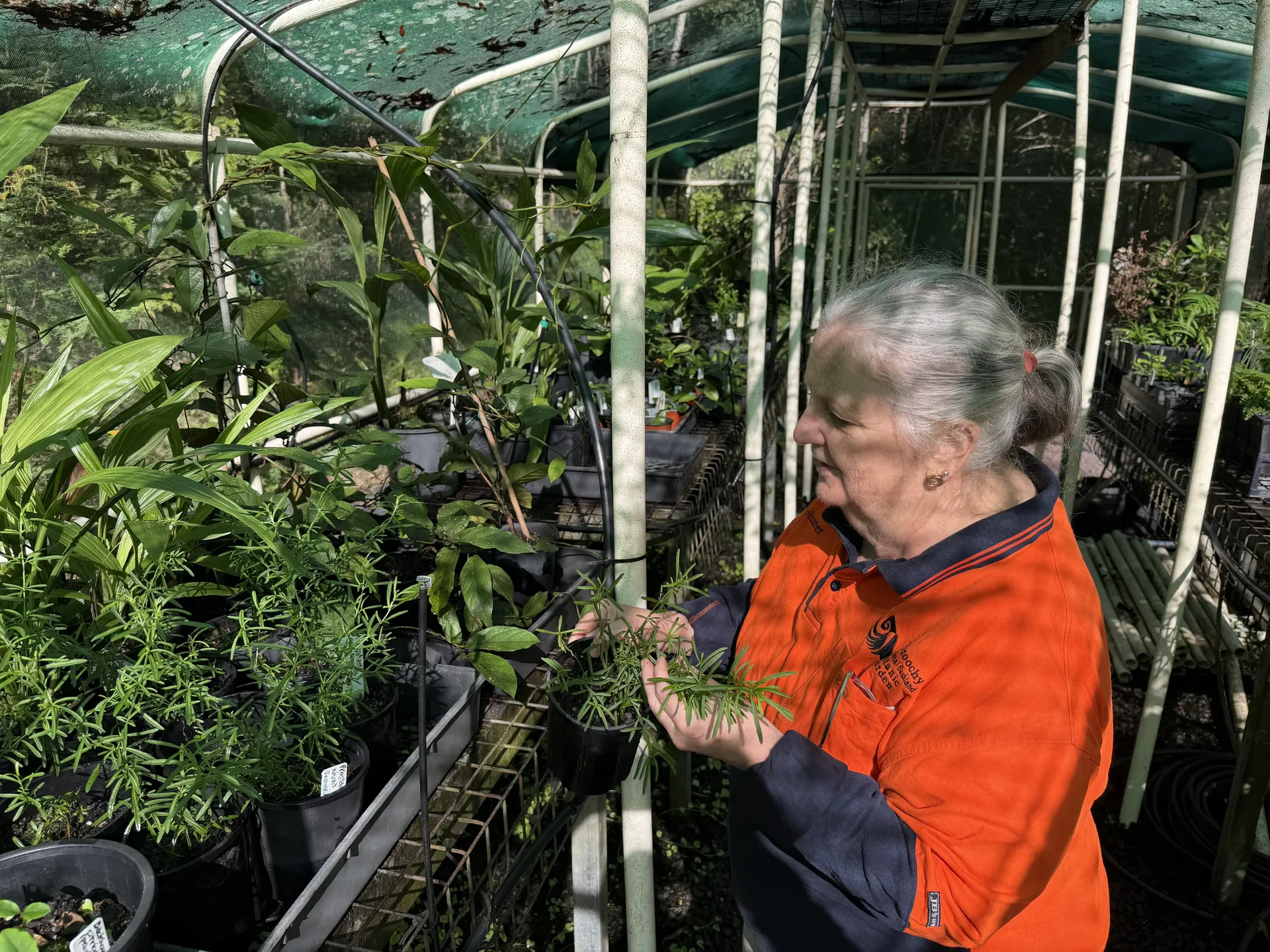 Botanic Gardens volunteer Debra