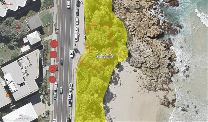 The aerial image below shows the indicative area of damaged vegetation as a red polygon and the missing street trees as red points.