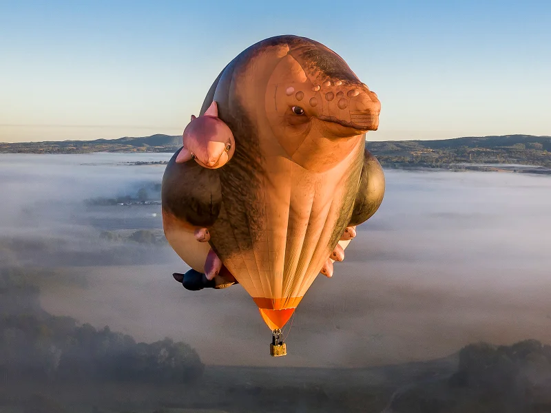 Patricia%20Piccinini%20Skywhalepapa%20-%20OurSC.jpg
