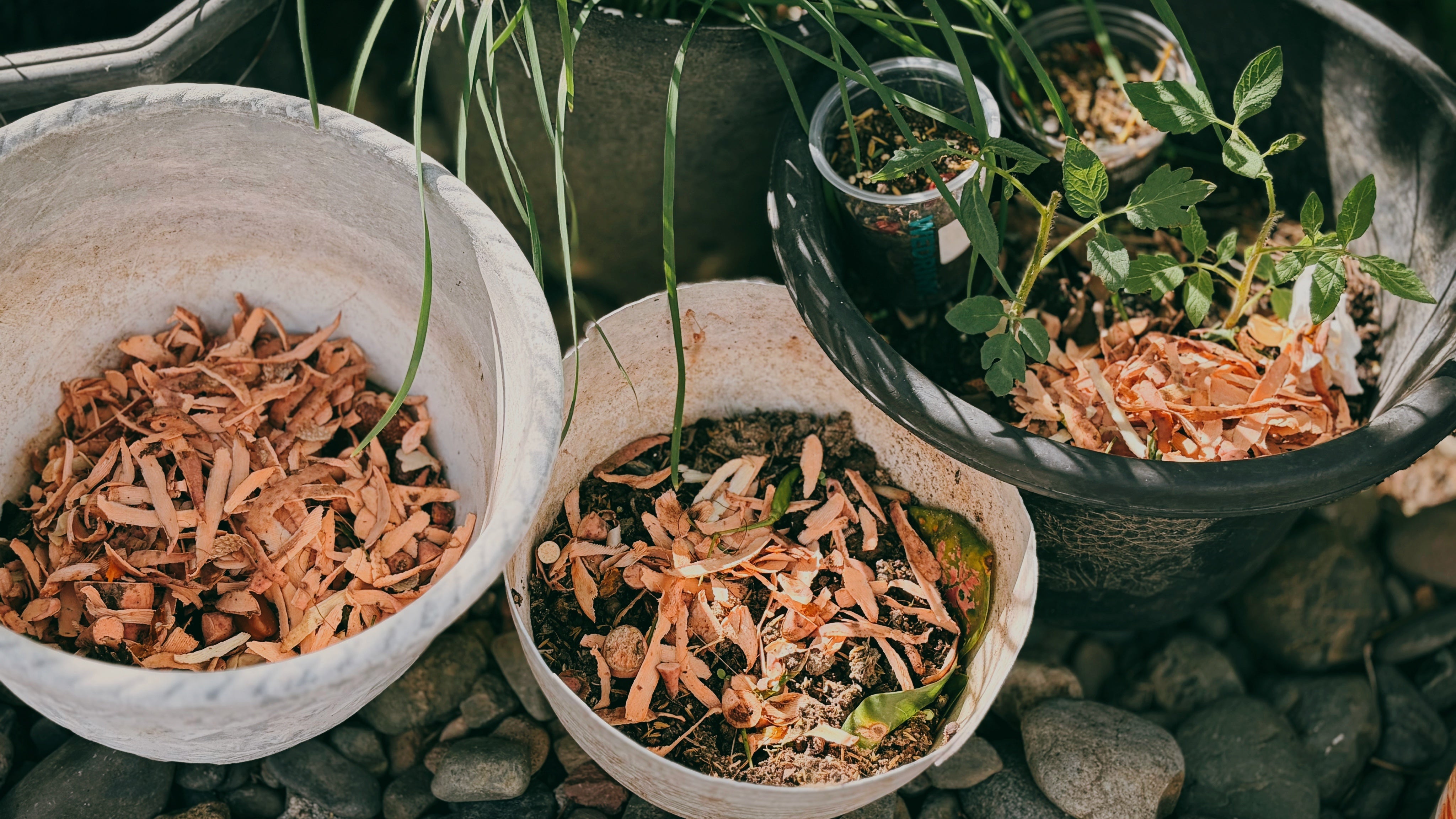 buckets of worm food