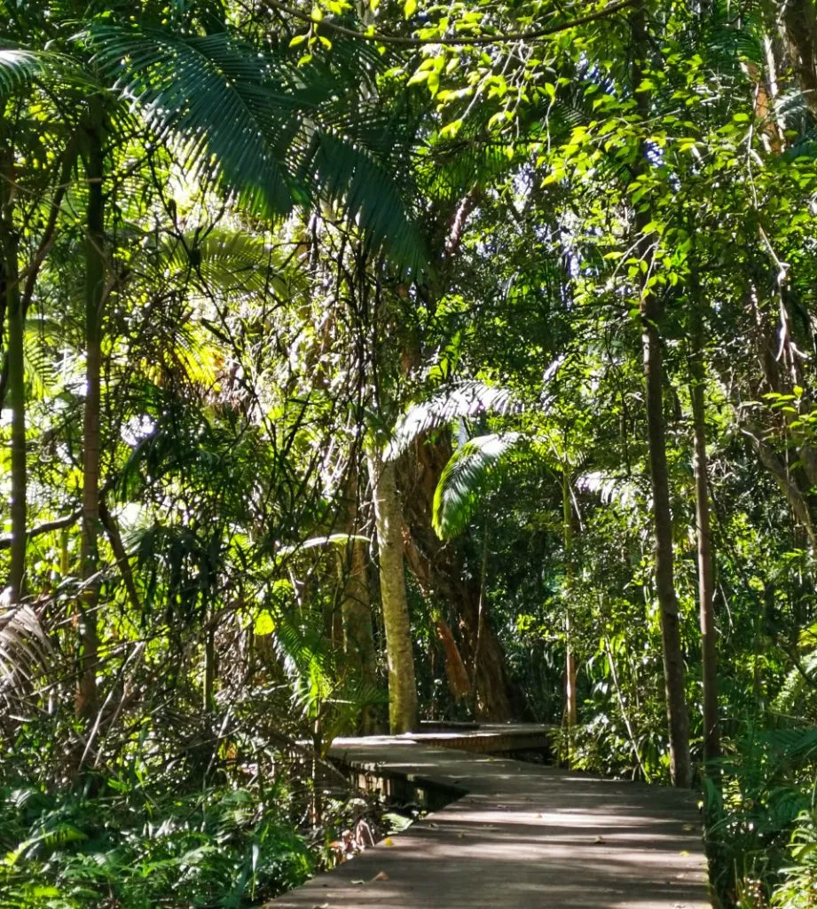 10013_Yaroomba-Bushland-Park-boardwalk2_edited-921x1024.jpg