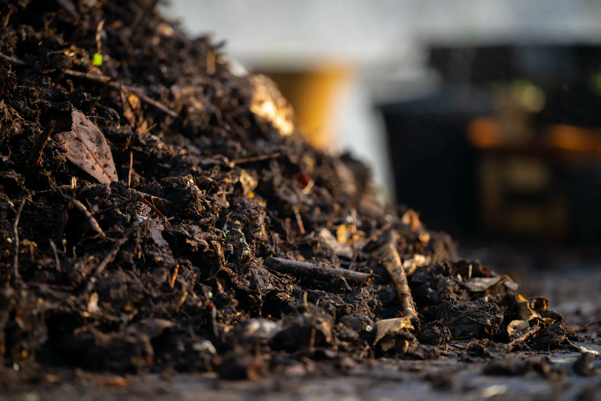 compost