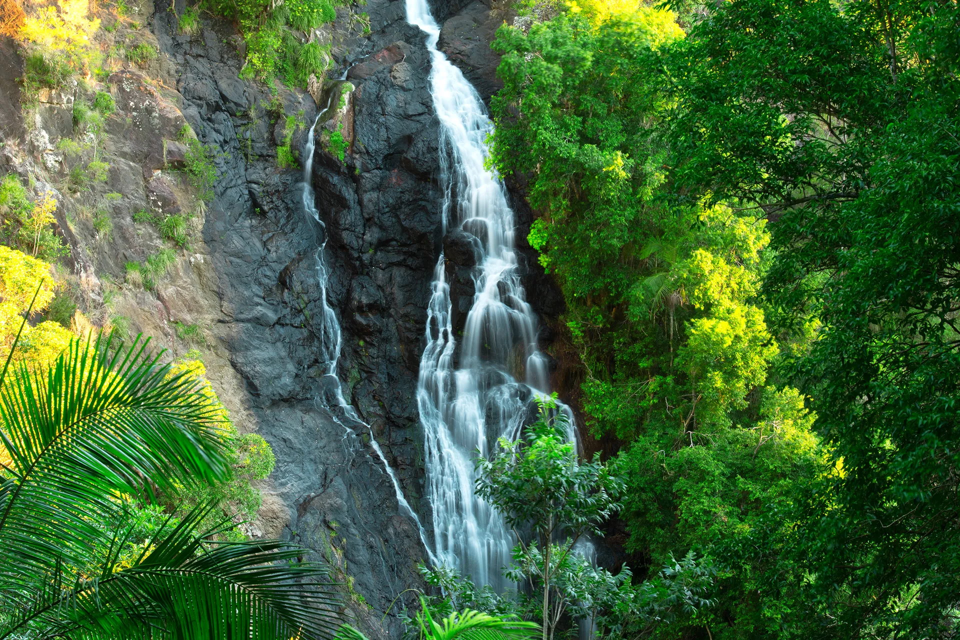 kondalilla falls