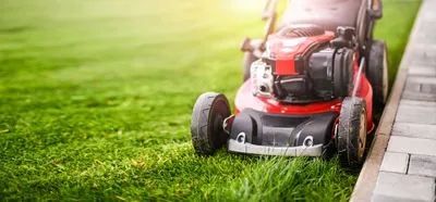 lush green lawn and lawn mower