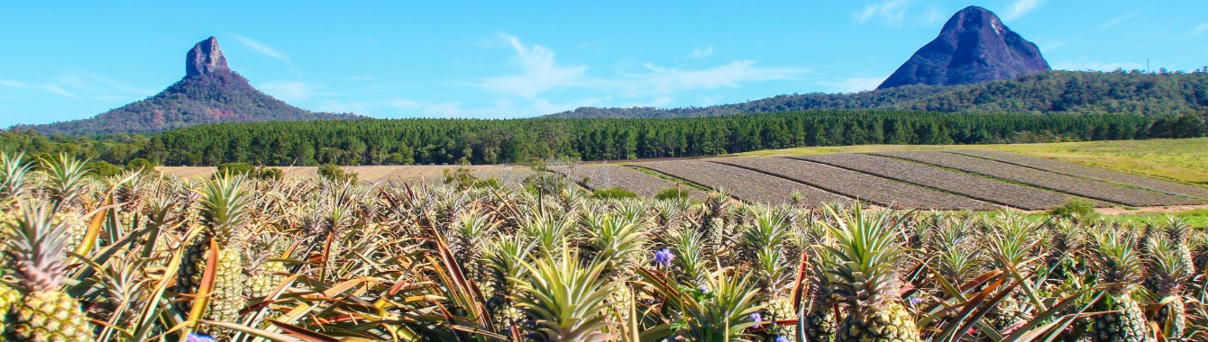 Glass House Mountains