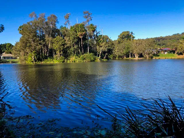 64576_North%20Buderim%20Lake%202_edited.jpg