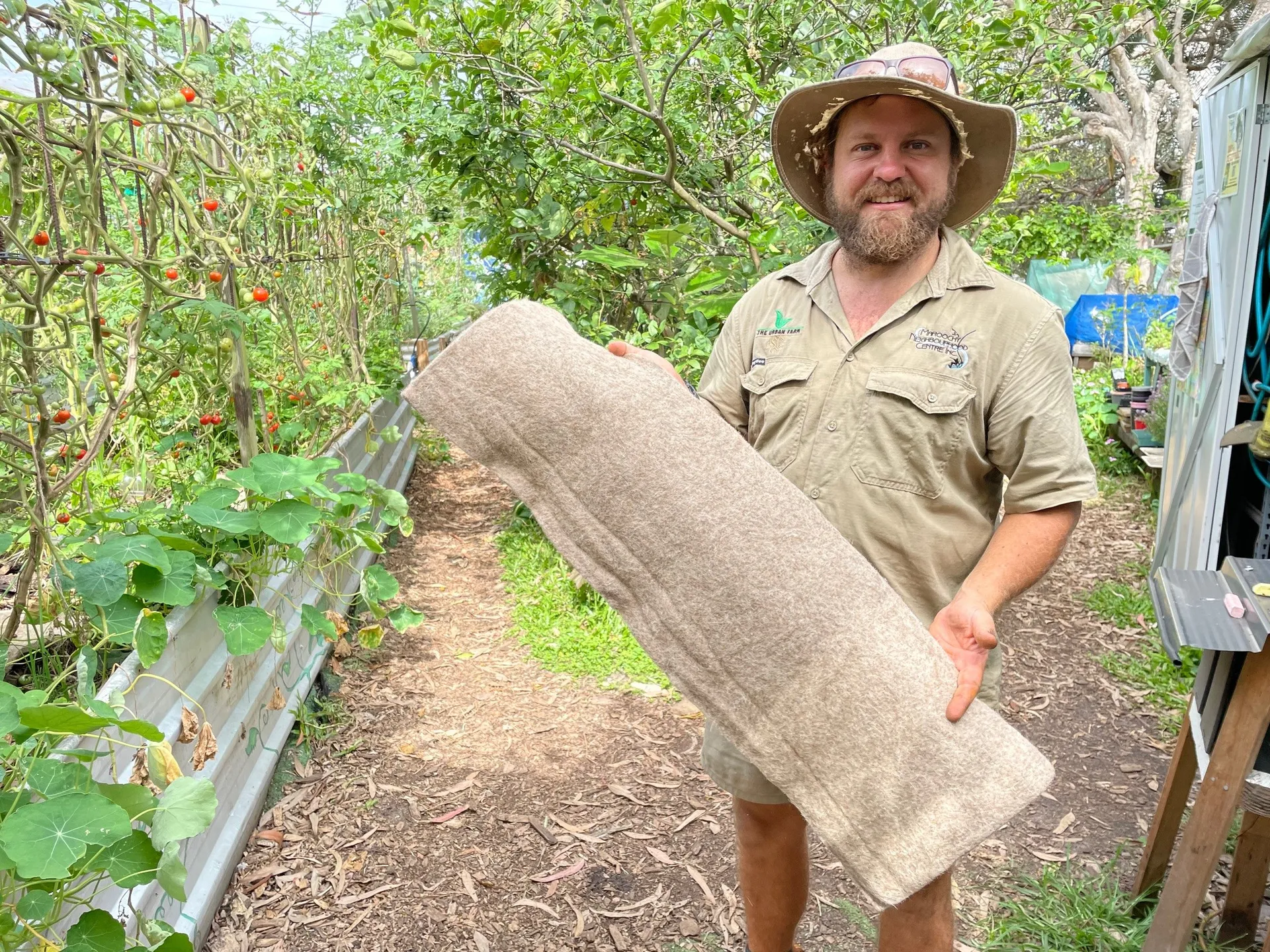 The%20Urban%20Farm%20wool1.jpg