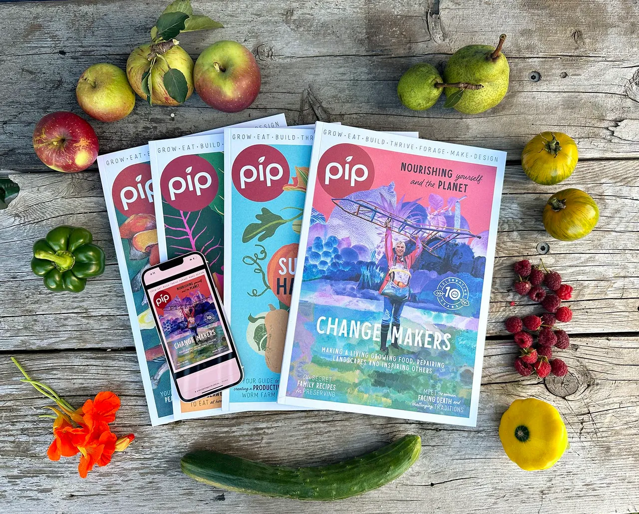 pip magazines
