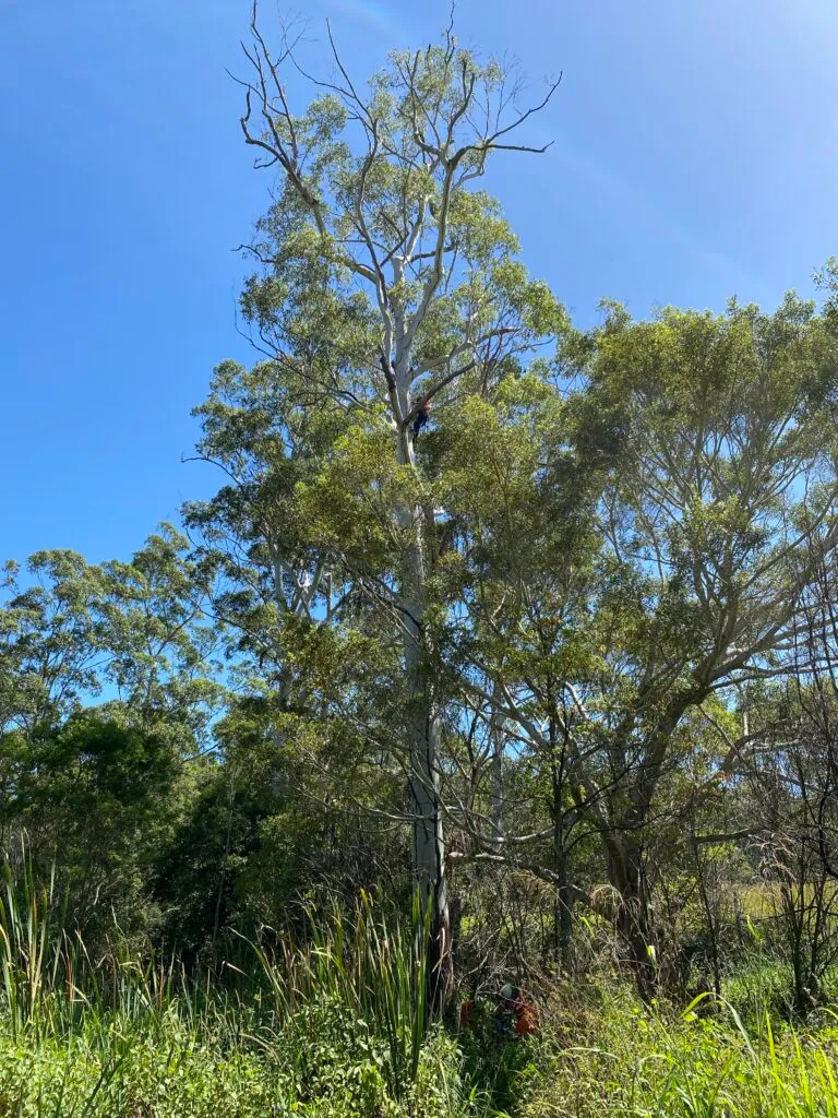Baroon Pocket Environmental Reserve.