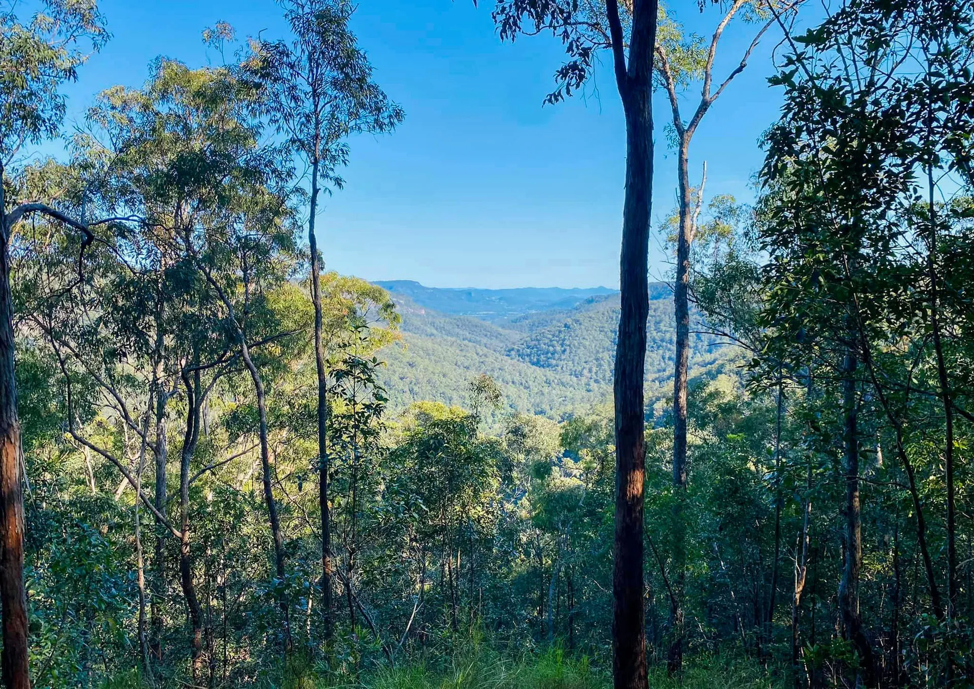 Mapleton National Park – Gheerulla Full Loop Hike