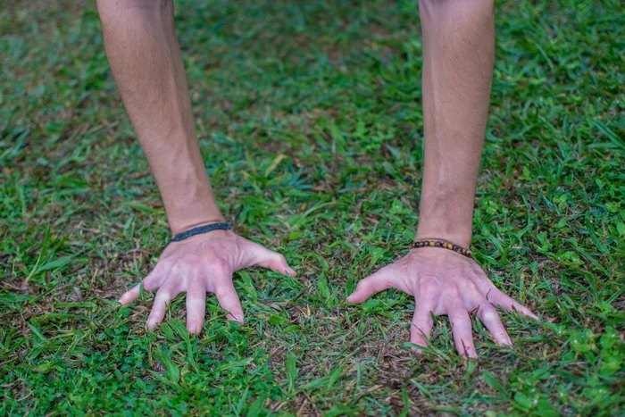 Connect to Country two hands flat on the ground of green grass and soil. 