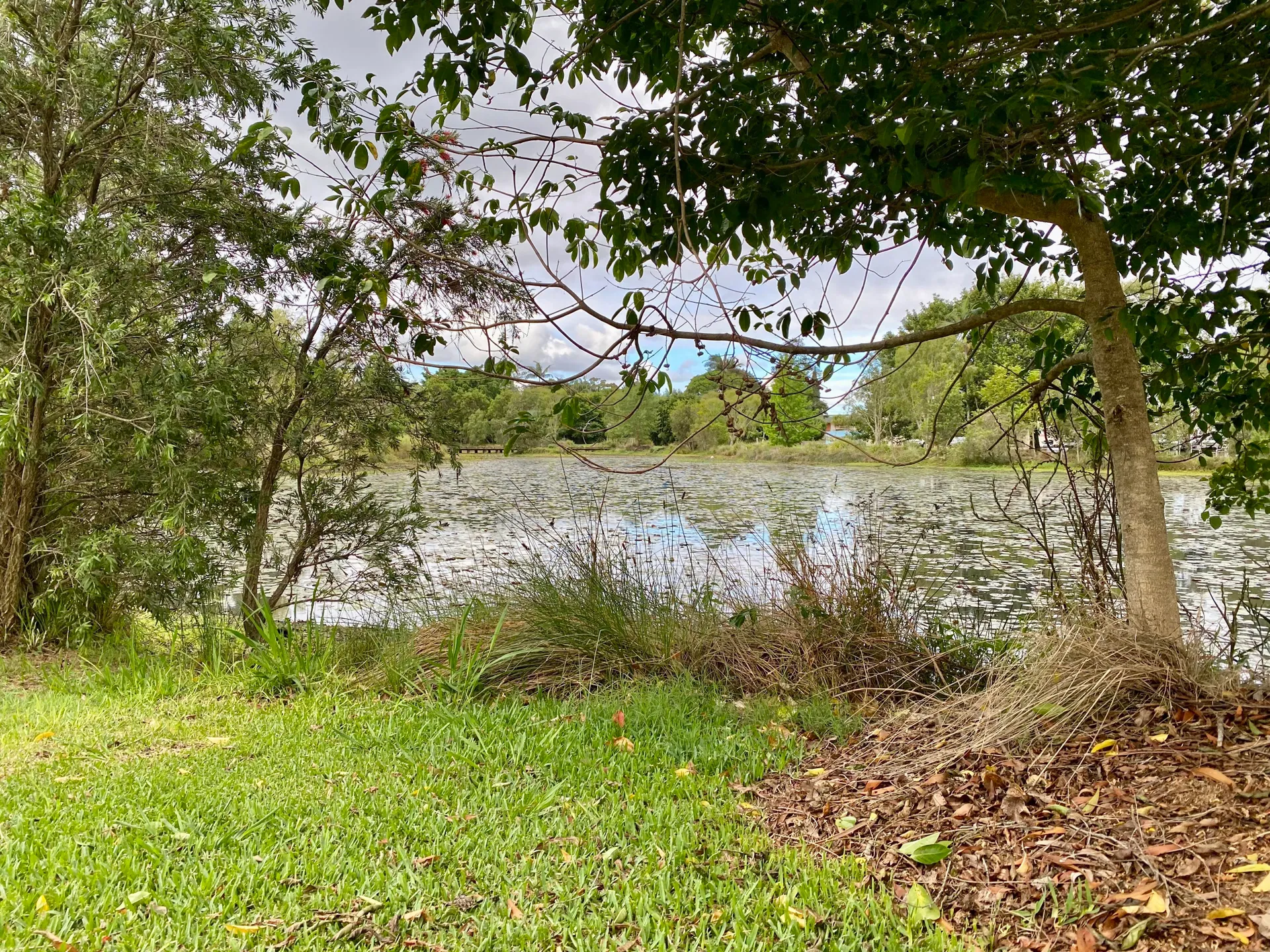 Mapleton Lilyponds and National Park Forest Loop