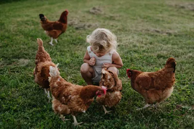 young girls with chickens