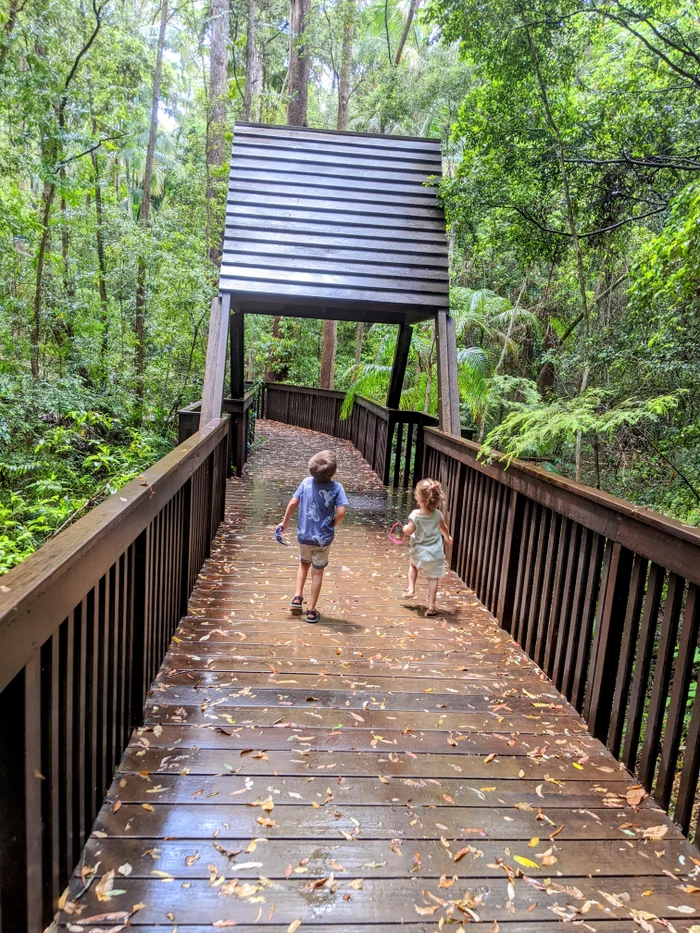 Maroochy Bushland Botanic Garden, Lagoon Walk