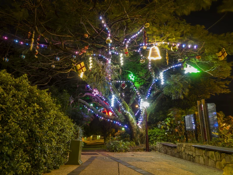 Festive tree in Buderim