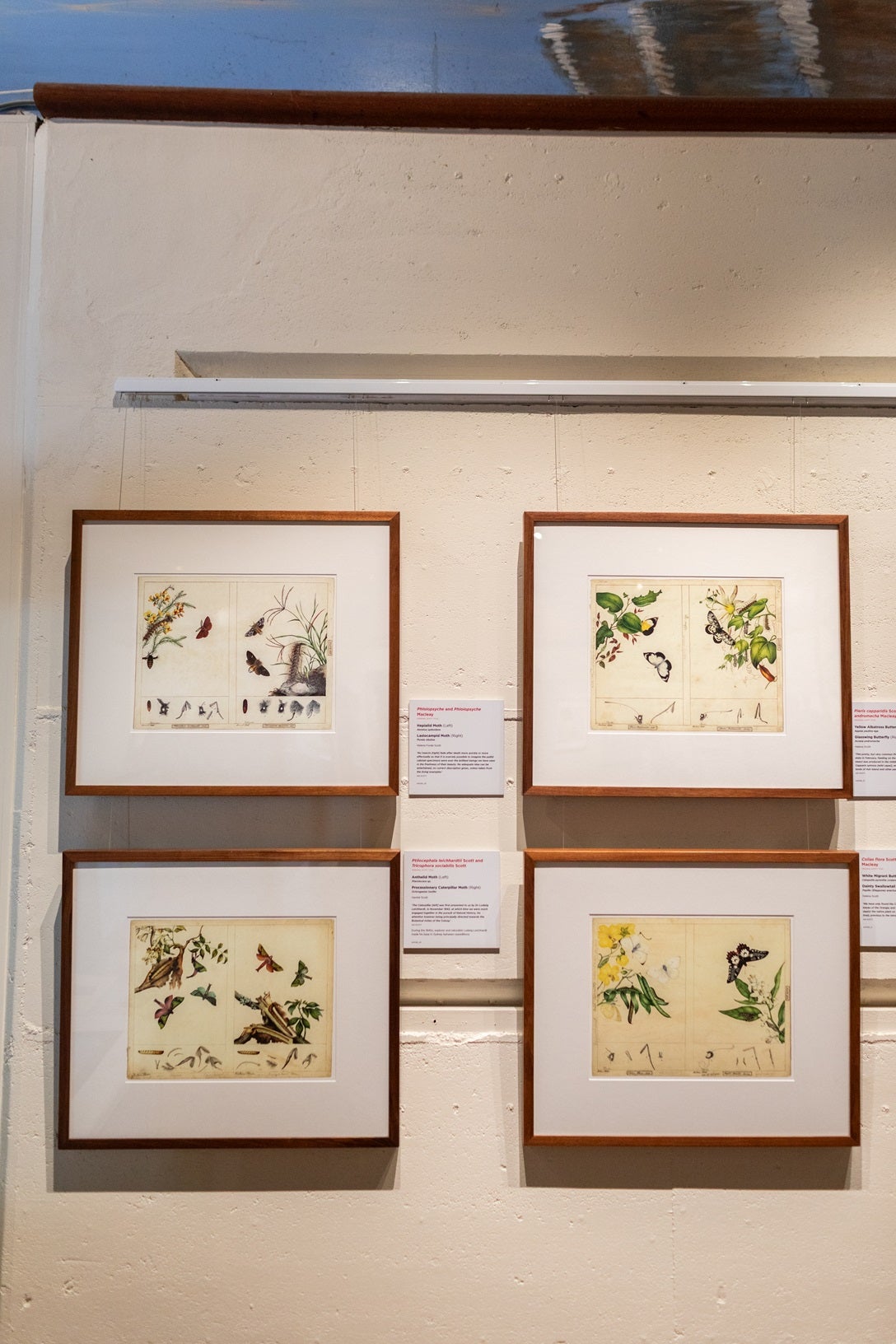 scott sisters exhibition