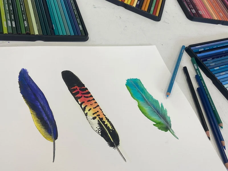 Flutter Workshops with Jade Oakley