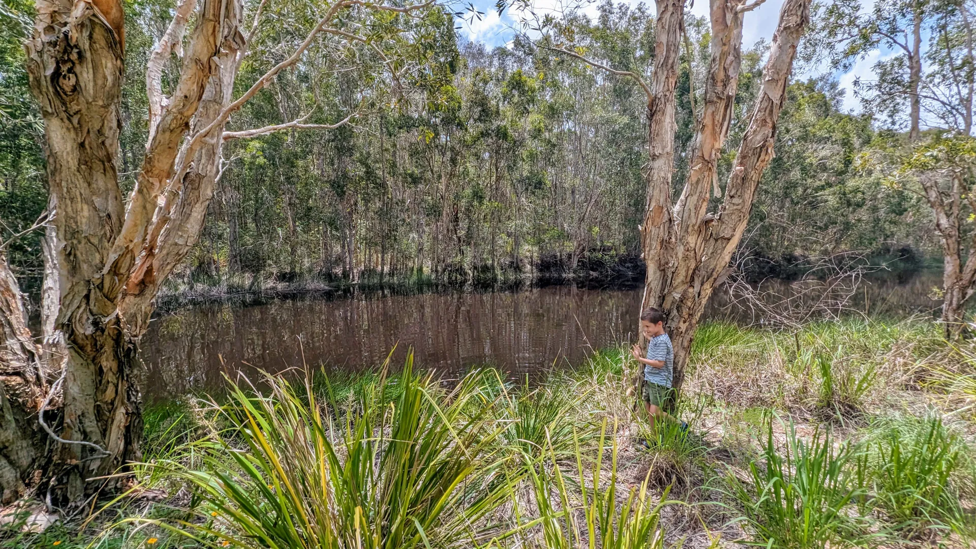 Lamerough Creekside Walk, Pelican Waters