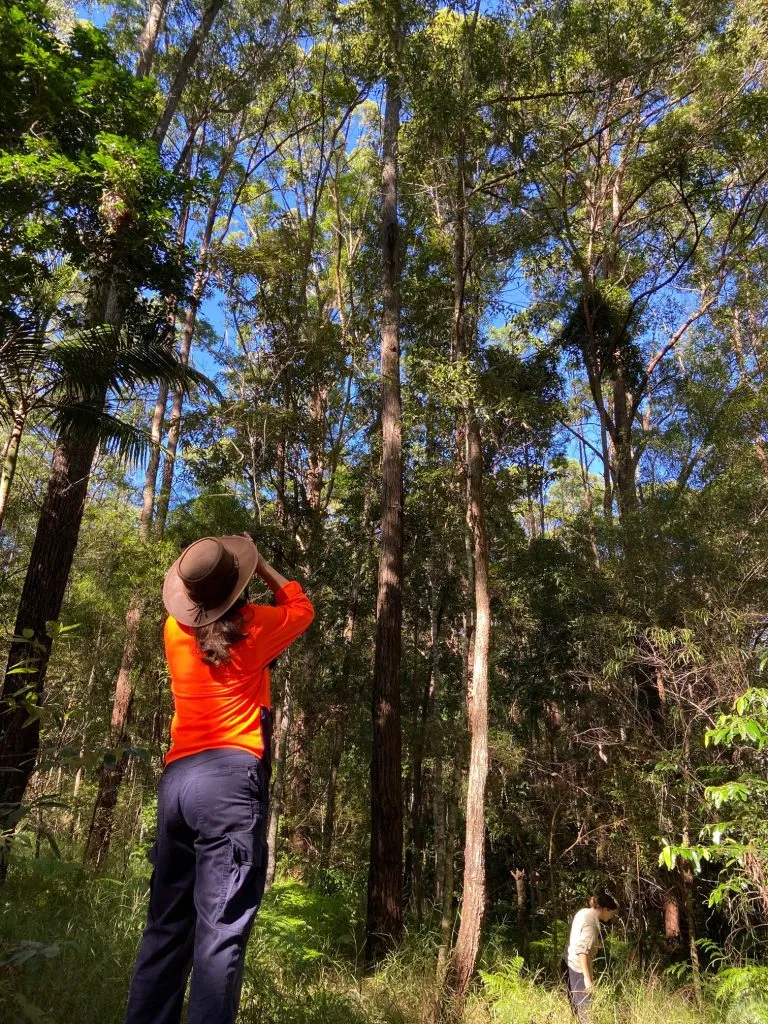 koala-survey-7-768x1024.jpg