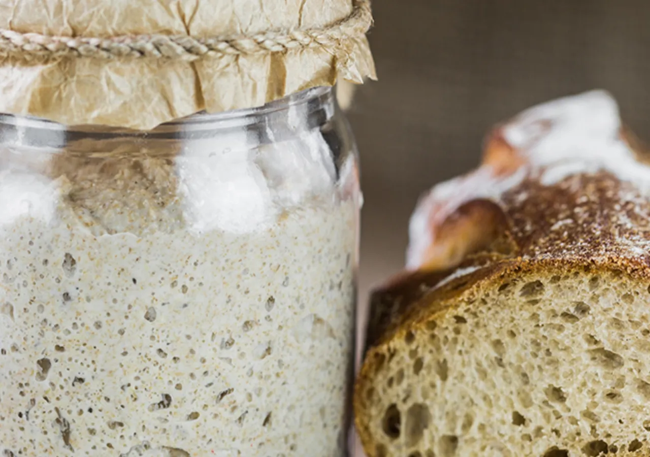 fermented_sourdough_pg.jpg