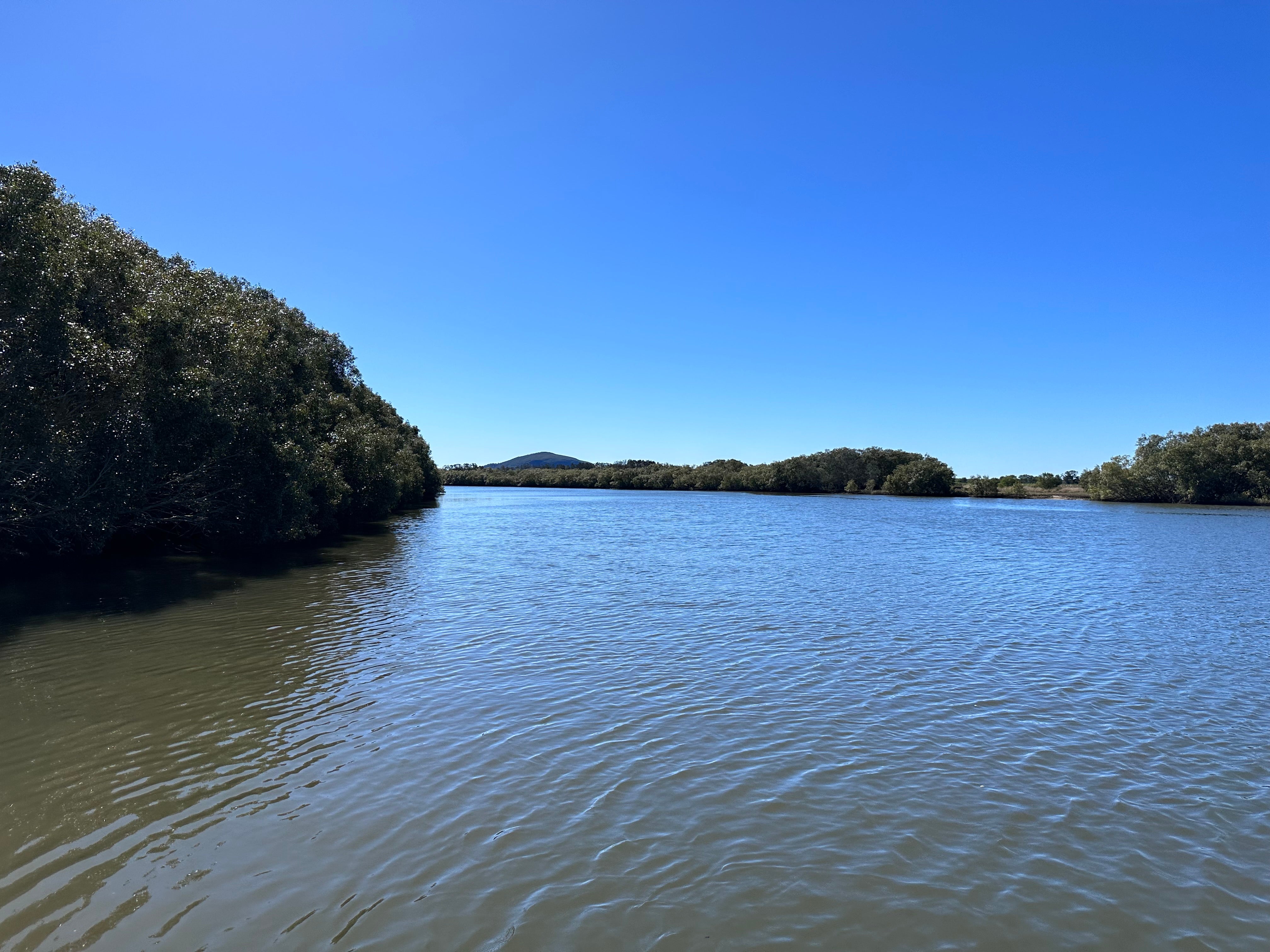 Maroochy%20Wetlands%20Sanctuary%20%2814%29.JPG